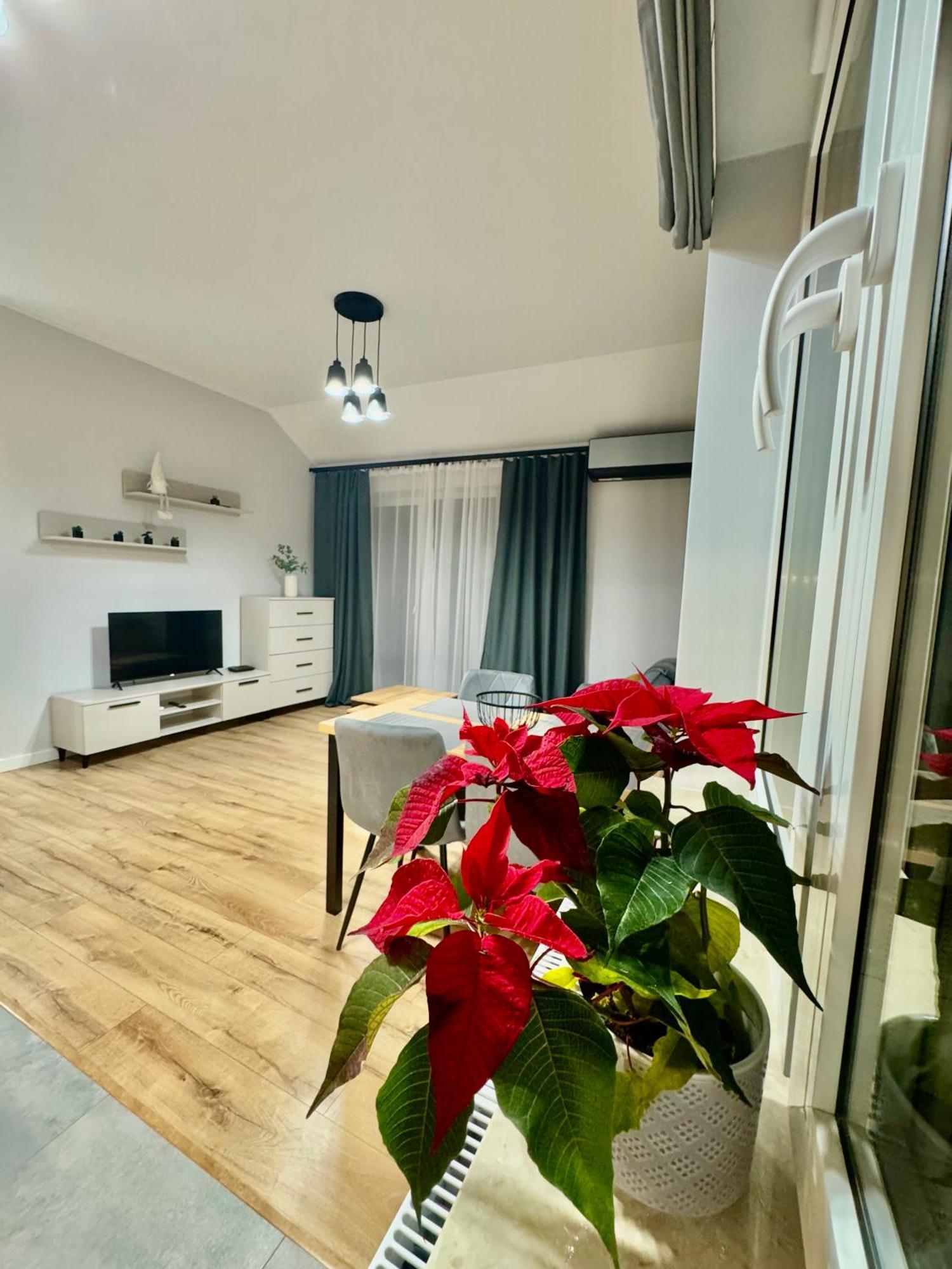 בוסקו זדרוי Apartament Olenka מראה חיצוני תמונה